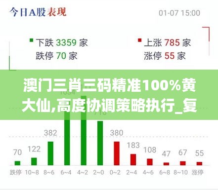 澳门三肖三码精准100%黄大仙,高度协调策略执行_复刻款1.201