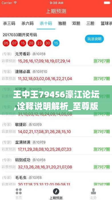 王中王79456濠江论坛,诠释说明解析_至尊版3.381