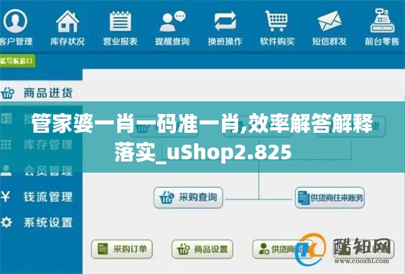 管家婆一肖一码准一肖,效率解答解释落实_uShop2.825