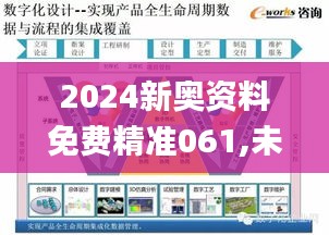 2024新奥资料免费精准061,未来规划解析说明_Executive13.830