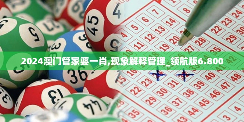 2024澳门管家婆一肖,现象解释管理_领航版6.800