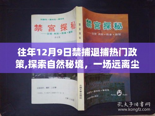 揭秘禁捕退捕政策下的自然秘境，一场远离尘嚣的旅行探索美景奇迹之旅