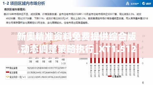 新奥精准资料免费提供综合版,动态调整策略执行_XT1.512