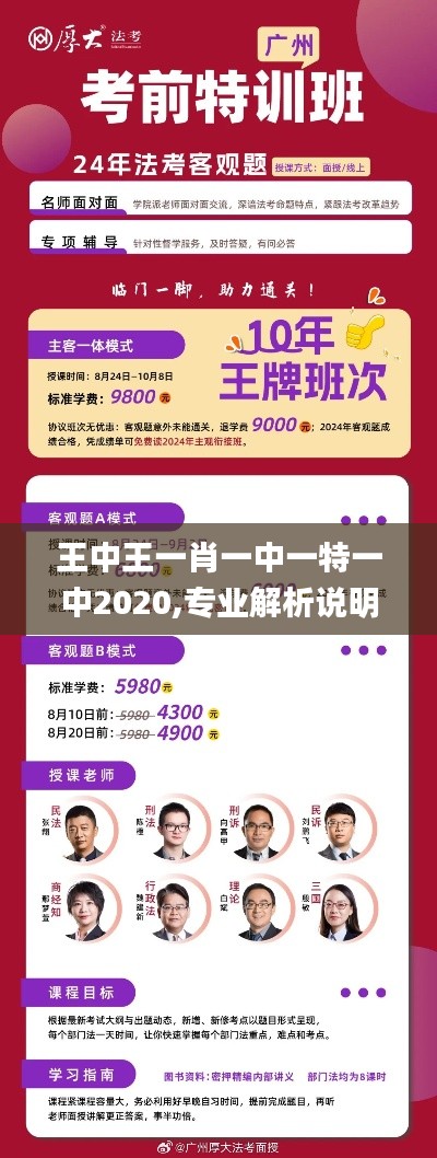 王中王一肖一中一特一中2020,专业解析说明_界面版7.816