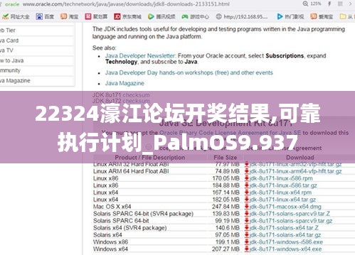 22324濠江论坛开奖结果,可靠执行计划_PalmOS9.937