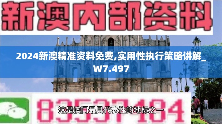 2024新澳精准资料免费,实用性执行策略讲解_W7.497