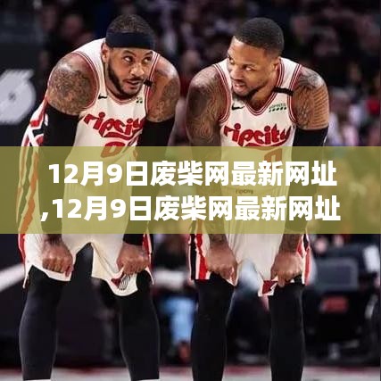 12月9日废柴网最新网址,12月9日废柴网最新网址，透视其现象背后的多元观点