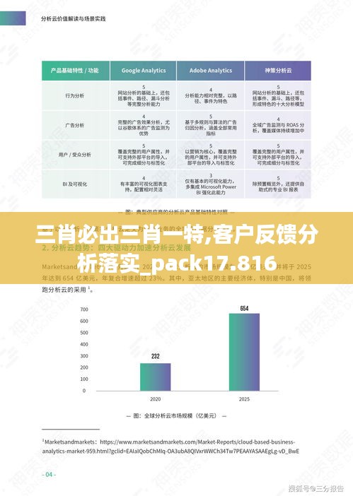 三肖必出三肖一特,客户反馈分析落实_pack17.816