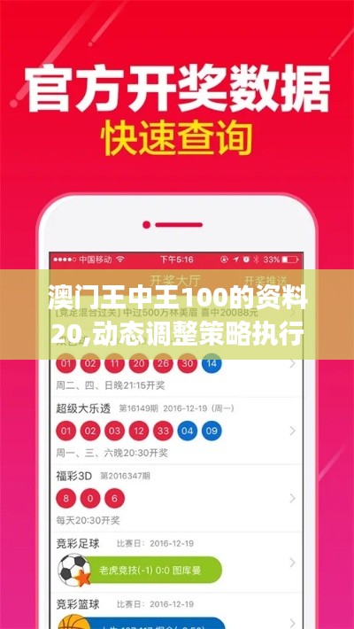 澳门王中王100的资料20,动态调整策略执行_Pixel1.281