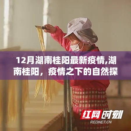 湖南桂阳疫情下的自然探索之旅，寻找内心的宁静与平和