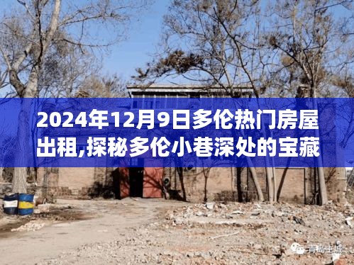 探秘多伦小巷宝藏，2024年12月9日热门房屋出租之旅