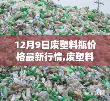 废塑料瓶新行情，重塑价值，学习变化助力自信与梦想实现