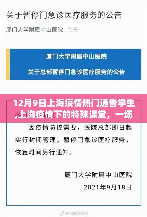 上海疫情下的特殊课堂，自然美景之旅，寻找内心的宁静与勇气之旅