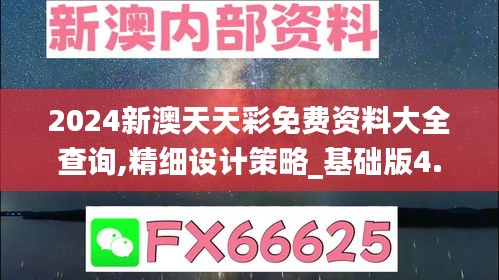 2024新澳天天彩免费资料大全查询,精细设计策略_基础版4.132