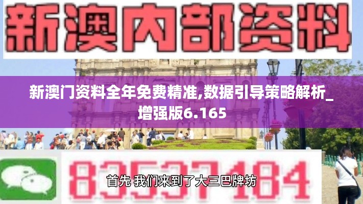 新澳门资料全年免费精准,数据引导策略解析_增强版6.165