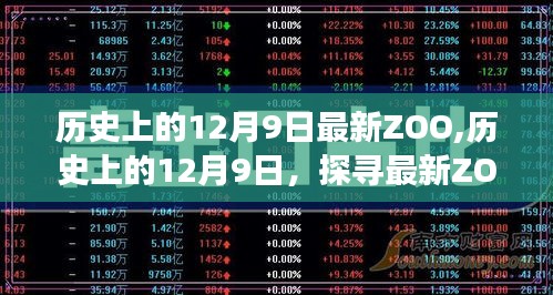 探寻最新ZOO背后的故事与奇迹，历史上的12月9日回顾与探寻