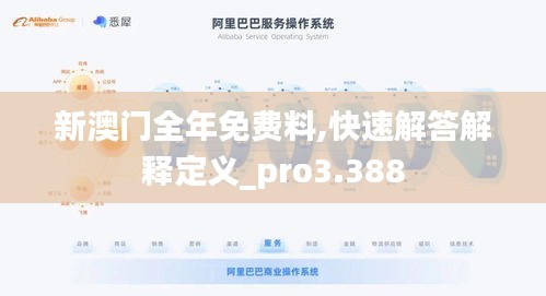 新澳门全年免费料,快速解答解释定义_pro3.388