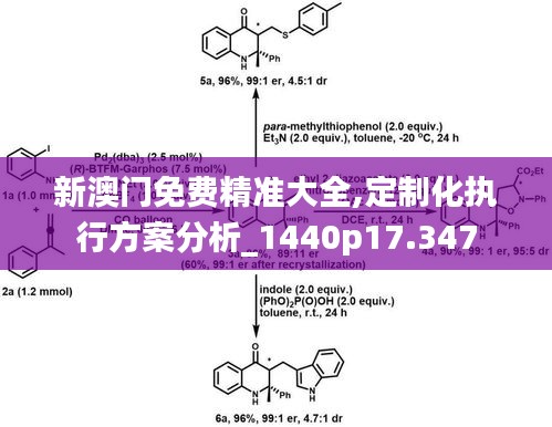 新澳门免费精准大全,定制化执行方案分析_1440p17.347