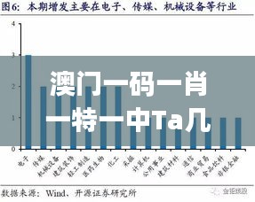 澳门一码一肖一特一中Ta几si,市场趋势方案实施_豪华版2.213