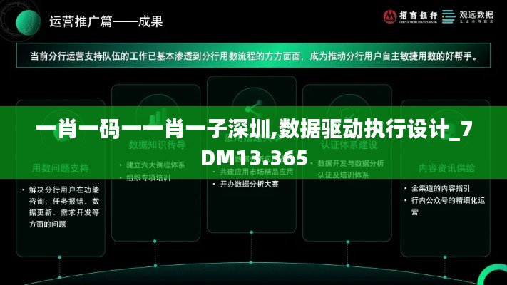 一肖一码一一肖一子深圳,数据驱动执行设计_7DM13.365