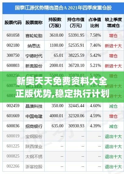 新奥天天免费资料大全正版优势,稳定执行计划_精简版8.333