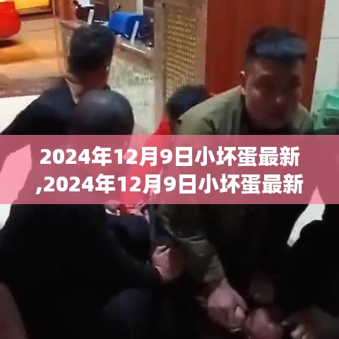 成长之路转折与惊喜，小坏蛋的最新动态与成长记录