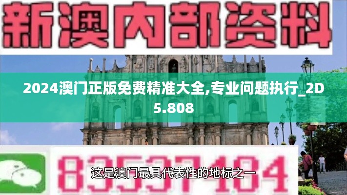 2024澳门正版免费精准大全,专业问题执行_2D5.808