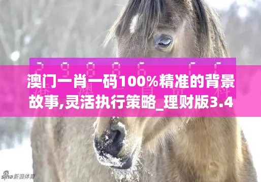 澳门一肖一码100%精准的背景故事,灵活执行策略_理财版3.409