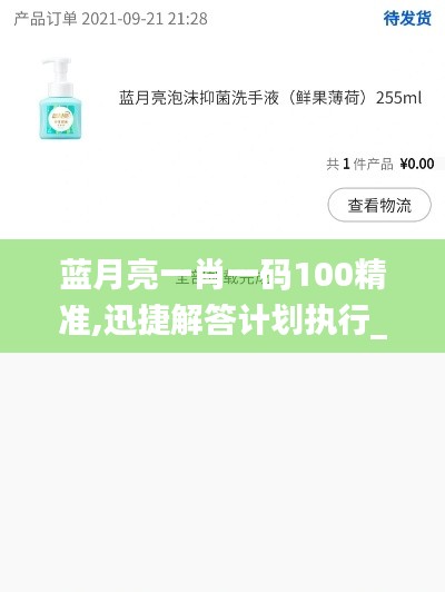 蓝月亮一肖一码100精准,迅捷解答计划执行_复刻版110.180