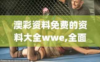 澳彩资料免费的资料大全wwe,全面解析说明_XR5.512