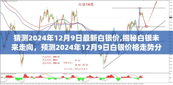 揭秘白银未来走向，预测白银价格走势分析至2024年12月9日揭晓！