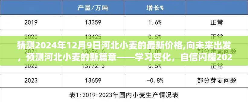 河北小麦市场预测，揭秘未来篇章，自信闪耀2024年12月9日最新价格动向