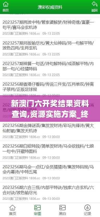 新澳门六开奖结果资料查询,资源实施方案_终极版6.316