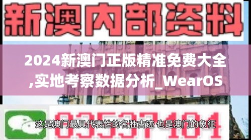 2024新澳门正版精准免费大全,实地考察数据分析_WearOS7.936