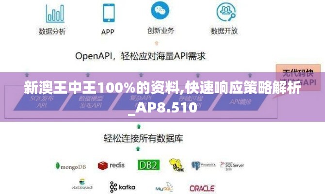 新澳王中王100%的资料,快速响应策略解析_AP8.510