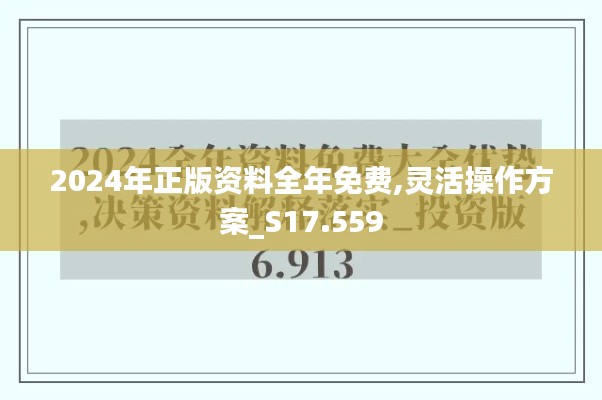 2024年正版资料全年免费,灵活操作方案_S17.559