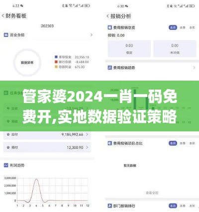 管家婆2024一肖一码免费开,实地数据验证策略_XT7.190