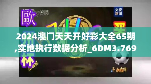 2024澳门天天开好彩大全65期,实地执行数据分析_6DM3.769