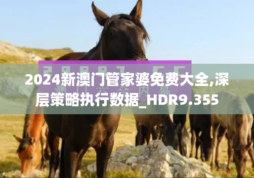 2024新澳门管家婆免费大全,深层策略执行数据_HDR9.355