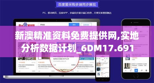 新澳精准资料免费提供网,实地分析数据计划_6DM17.691