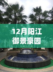 探秘阳江御景豪园，小巷风情与最新报价背后的故事