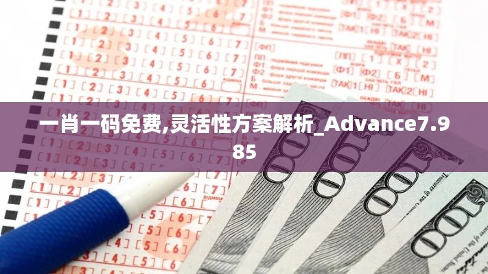 一肖一码免费,灵活性方案解析_Advance7.985