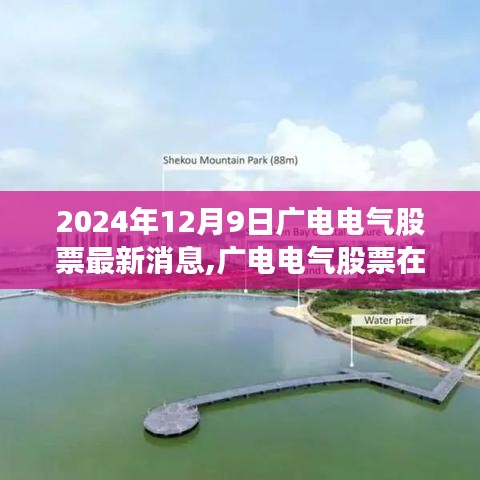 广电电气股票最新动态，深度洞察与走势分析（2024年12月9日）