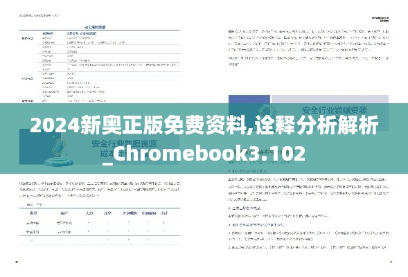 2024新奥正版免费资料,诠释分析解析_Chromebook3.102