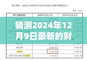 关于猜测的2024年最新财务报表，展望未来的财务蓝图全面介绍