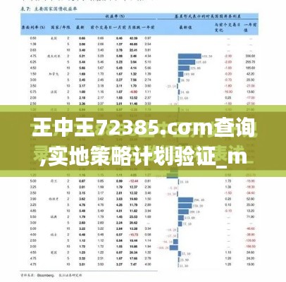 王中王72385.cσm查询,实地策略计划验证_macOS1.521