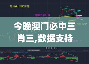 今晚澳门必中三肖三,数据支持方案解析_uShop3.453