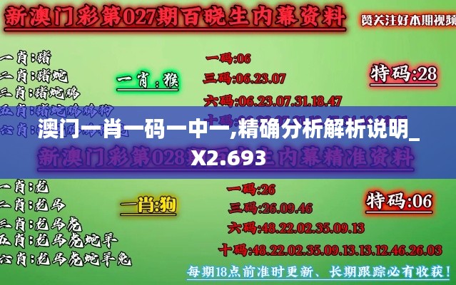 澳门一肖一码一中一,精确分析解析说明_X2.693