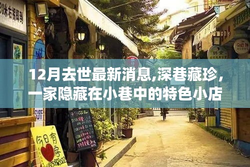 深巷藏珍，特色小店与离世秘密的十二月故事