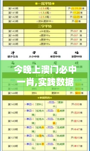 今晚上澳门必中一肖,实践数据解释定义_苹果版4.482